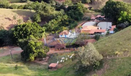 MARAVILHOSA FAZENDA DE 90 ALQUEIRES EM SANTA CRUZ DE GOIÁS - GO  FA00198