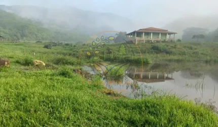 FAZENDA DE 52 ALQUEIRES EM CACHOEIRAS DE MACACU - RJ  FA00205