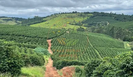 EXCELENTE FAZENDA  DE CAFÉ NO SUL DE MINAS COM 750 HECTARES  FA00252