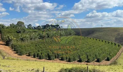 FAZENDA DE 790 HECTARES NA REGIÃO DO CIRCUITO DAS ÁGUAS, SUL DE MINAS FA00251