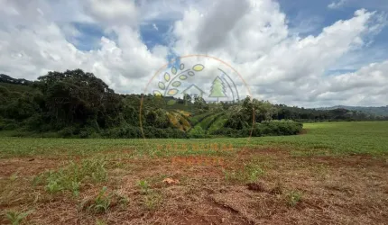 FAZENDA NA REGIÃO DE SÃO LOURENÇO - MG COM 127 HECTARES  FA00256