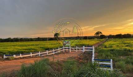 EXCELENTE! FAZENDA DE 251 ALQUEIRES NA REGIÃO DE PEIXES - TO  FA00277