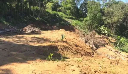 Terreno à venda, 7.199 m² por R$ 180.000 - Vila Itoupava - Blumenau/SC
