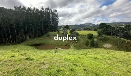 TERRENO COM 3 HECTARES COM LAGO EM FRENTE AO BR 282 EM RANCHO QUEIMADO
