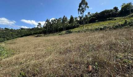 Bela área com vista e riacho à venda em Linha Nova na Serra Gaúcha!