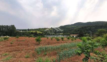 Bela área à venda às margens de rodovia estadual de São José do Hortêncio-RS