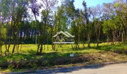 Terreno arborizado a venda em loteamento central de Picada Café, na Serra Gaúcha
