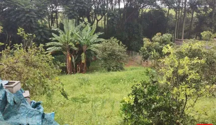 Terreno de chácara à venda no Condominio Portal dos Eucaliptos com 1000 m².