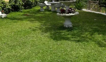 rancho em são Lourenço