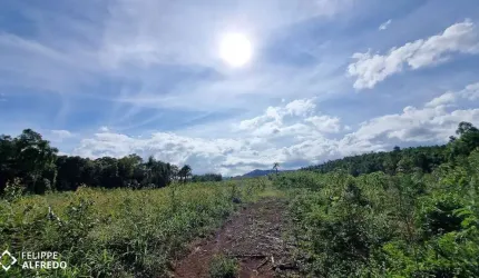 Campo à venda São Jacó Sapiranga/RS