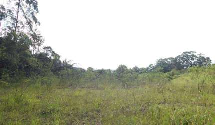 Terreno à venda, 23555 m² por R$ 17.000.000,00 - Cooperativa - São Bernardo do Campo/SP