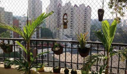 Apartamento com 3 quartos à venda em Vila Sofia - SP
