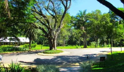 Loteamento à venda em Santo Amaro - SP