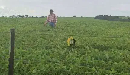 Fazenda à venda, 19021200 m² por R$ 17.685.000,00 - Centro - Santa Rita do Araguaia/GO