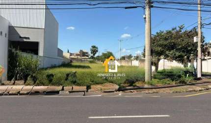 Terreno, 1586 m² - venda por R$ 16.000.000 ou aluguel por R$ 60.000/mês - Jardim Moysés Miguel Haddad - São José do Rio Preto/SP