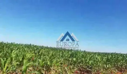 Fazenda à venda, 1495560 m² por R$ 26.000.000,00 - Rural - Bela Vista do Paraíso/PR