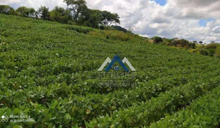 Sítio à venda, 798600 m² por R$ 6.100.000,00 - Rural - Cornélio Procópio/PR