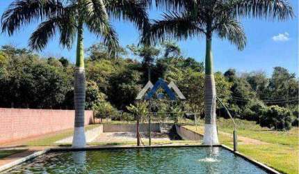 Chácara em Arapongas, com 4 dormitórios à venda, 5000 m² por R$ 590.000 - Conjunto Padre Bernardo Merckel - Arapongas/PR