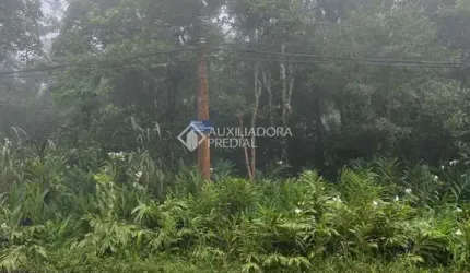 Terreno em condomínio fechado à venda na Genciana, 1, Jardim Clube de Campo, Santo André, 1300 m2 por R$ 200.000