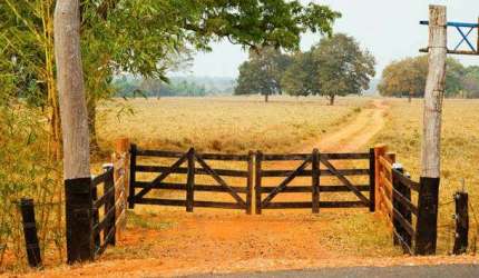 Fazenda à venda no bairro Área Rural de Araguari - Araguari/MG