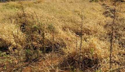 Terreno à venda no bairro Bela Vista - Araguari/MG
