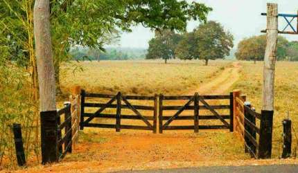 Fazenda em Araguari