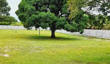 Sítio para Venda em Itaboraí, Vila Rica, 3 dormitórios, 1 suíte, 2 banheiros