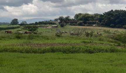 Sítio para Venda em Itaboraí, Itapacorá, 2 dormitórios, 1 banheiro, 1 vaga