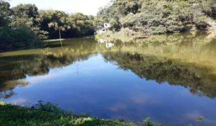 Fazenda para Venda em Cachoeiras de Macacu, Vecchi, 6 dormitórios, 2 suítes, 2 banheiros, 2 vagas