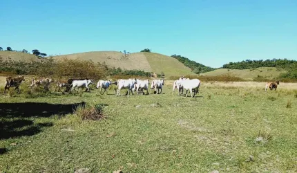 Fazenda para Venda em Silva Jardim, Imbaú, 3 dormitórios, 1 suíte, 1 banheiro, 1 vaga