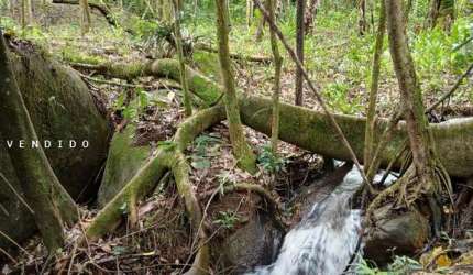 Terreno para Venda em Cachoeiras de Macacu, Guapiaçu