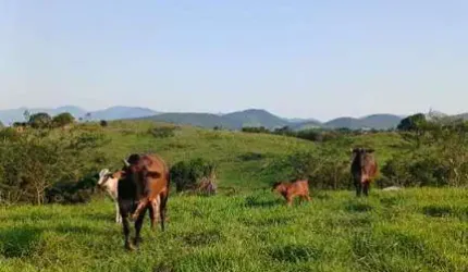 Sítio para Venda em Itaboraí, Picos, 3 dormitórios, 1 suíte, 2 banheiros, 3 vagas