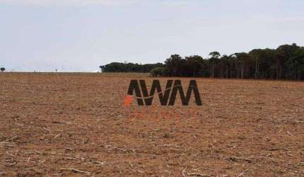 Fazenda à venda, 387200 m² por R$ 4.000.000,00 - Zona Rural - Americano do Brasil/GO