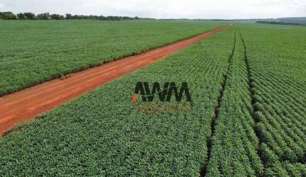 Fazenda à venda, 7066400 m² por R$ 24.000.000,00 - Centro - Paraíso do Tocantins/TO
