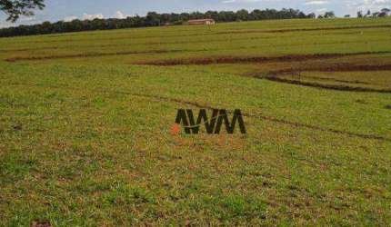 Fazenda à venda, 1597200 m² por R$ 10.230.000,00 - Zona Rural - Americano do Brasil/GO