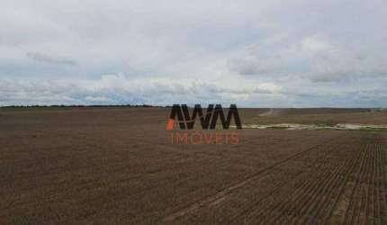 Fazenda à venda, 19989200 m² por R$ 35.000.000,00 - Zona Rural - Brejinho de Nazaré/TO