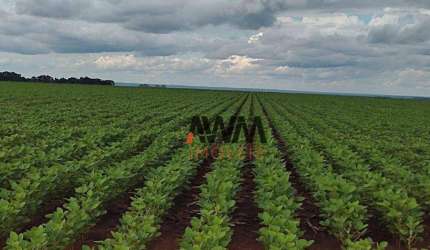Fazenda à venda, 24829200 m² por R$ 61.560.000,00 - Zona Rural - Pedro Afonso/TO