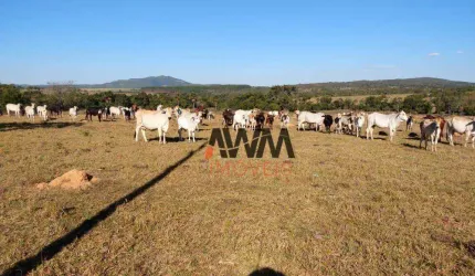 Fazenda à venda, 2129600 m² por R$ 5.000.000,00 - Zona Rural - Uruana/GO