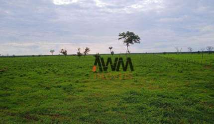 Fazenda à venda, 50820000 m² por R$ 157.500.000,00 - Centro - Caseara/TO