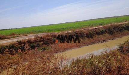 Fazenda à venda, 7260 ha por R$ 225.000.000 - Javaés - Lagoa da  Confusão/TO
