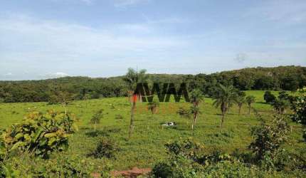 Fazenda à venda, 51691200 m² por R$ 37.080.000,00 - Centro - Miracema/TO