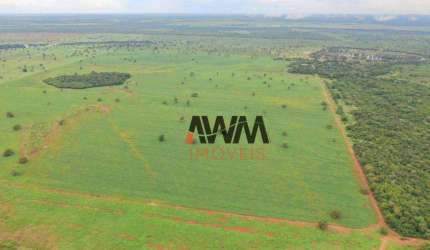 Fazenda à venda, 5227 HA por R$ 150.000.000 - Javaés - Lagoa da  Confusão/TO