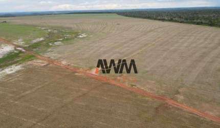 Fazenda à venda, 3.000,80 Hectares por R$ 92.000.000 - Setor Central - Araguaína/TO
