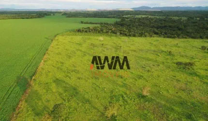Fazenda à venda, 242,00 Hectares por R$ 9.000.000 - Zona Rural - Alto Horizonte/GO