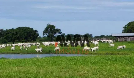 Fazenda à venda, 16900000 m² por R$ 59.150.000,00 - Zona Rural - Miranda/MS