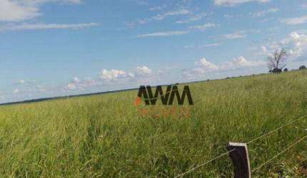 Fazenda à venda, 38329412 m² por R$ 43.560.000,00 - Zona Rural - Monte do Carmo/TO