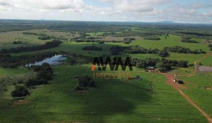 Fazenda à venda, 98,65 alqueirespor R$ 13850000- Centro - Porangatu/GO