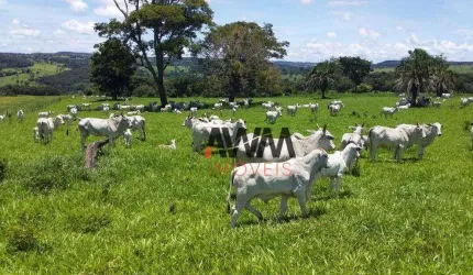 Fazenda à venda, 5008300 m² por R$ 55.000.000,00 - Centro - Leopoldo de Bulhões/GO