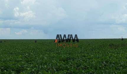 Fazenda à venda, 11520000 m² por R$ 65.000.000,00 - Anhangüera - Goiânia/GO