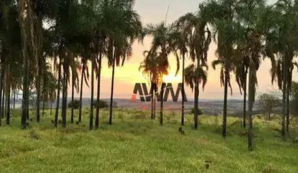 Fazenda à venda, 803924 m² por R$ 7.500.000,00 - Zona Rural - Trindade/GO